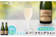 オリジナルりんごのスパークリングワイン　750ml×2本 F6P-1819 クラウドファンディング 実施中 GCF