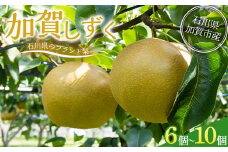 【先行予約】梨 加賀しずく 1箱（6個～10個）石川県加賀市産（2025年8月下旬～9月中旬頃発送）  かがしずく ブランド梨 石川県 先行予約 予約 冷蔵配送 くだもの 果物 フルーツ ご当地 食品 災害支援 北陸新幹線 F6P-1951 クラウドファンディング 実施中 GCF