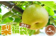 【先行予約】【訳あり】 梨 福袋 5kg 旬の品種を1品種お届け （2025年8月下旬以降順次発送） 冷蔵配送 くだもの 果物 フルーツ ご当地 食品 幸水 豊水 あきづき 新高 新興 愛宕 F6P-1994 クラウドファンディング 実施中 GCF