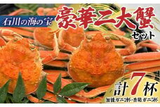 【先行予約】【冷蔵発送】<石川の海の宝>豪華二大蟹セット（加能ガニ2杯・香箱ガニ5杯） 2025年11月上旬以降発送 蟹 カニ かに ずわい 石川 加賀 F6P-2485 クラウドファンディング 実施中 GCF