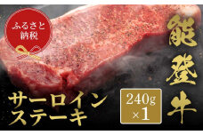 【和牛セレブ】能登牛 サーロインステーキ 240g 牛肉 最高級 サーロイン ステーキ 黒毛和牛 能登牛 和牛セレブ F6P-2117 クラウドファンディング 実施中 GCF