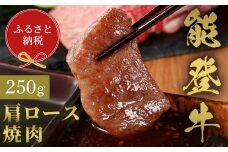 【和牛セレブ】能登牛 牛肩ロース 焼肉 250g 牛肉 最高級 肩ロース 焼肉 黒毛和牛 能登牛 和牛セレブ F6P-2137 クラウドファンディング 実施中 GCF