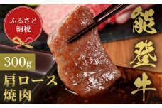 【和牛セレブ】能登牛 牛肩ロース 焼肉 300g 牛肉 最高級 肩ロース 焼肉 黒毛和牛 能登牛 和牛セレブ F6P-2138 クラウドファンディング 実施中 GCF