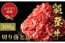 【和牛セレブ】能登牛 切り落とし 300g 牛肉 最高級 切り落とし 焼肉 黒毛和牛 能登牛 和牛セレブ F6P-2153 クラウドファンディング 実施中 GCF