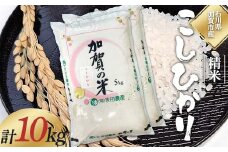 令和6年度 新米 こしひかり 精米 石川県加賀市産 10kg お米 米 国産米 ギフト 贈り物  グルメ 食品 国産 復興 震災 コロナ 能登半島地震復興支援 北陸新幹線 F6P-2321 クラウドファンディング 実施中 GCF