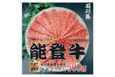 能登牛モモ 500g×1p 牛肉 最高級 もも肉 しゃぶしゃぶ 黒毛和牛 能登牛 F6P-2404 クラウドファンディング 実施中 GCF