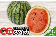 【先行予約】浜井さんの甘い！大玉スイカ　石川県加賀市産 スイカ 西瓜 デザート フルーツ 果物 F6P-2624