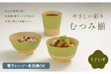 やさしい彩り むつみ揃 うぐいす F6P-2566