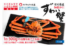 【11月10日～12月15日発送】【先行予約】【冷蔵発送】石川県産 加能かに ズワイガニ ( 産地証明タグ付 ) 茹で上げ前重量 約500g 1匹 中サイズ F6P-2744 クラウドファンディング 実施中 GCF