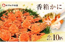 石川県産 香箱蟹 せいこ 小サイズ 10匹 詰合せ 12月16日～12月26日発送 F6P-2769