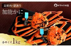石川県産 加能かに ズワイガニ ( 産地証明タグ付 ) 訳あり 足折れ 小サイズ 2～3匹 合計1.0kg 12月16日～12月26日発送 産地証明 訳あり 家庭用 自宅用 足折れ 先行予約 予約 ブランド蟹 ボイル 茹で 蟹 復興 震災 コロナ 能登半島地震復興支援 北陸新幹線 F6P-2779 クラウドファンディング 実施中 GCF
