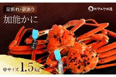 石川県産 加能かに ズワイガニ ( 産地証明タグ付 ) 訳あり 足折れ 中サイズ 2～3匹 合計1.5kg 12月16日～12月26日発送 産地証明 訳あり 家庭用 自宅用 足折れ 先行予約 予約 ブランド蟹 ボイル 茹で 蟹 復興 震災 コロナ 能登半島地震復興支援 北陸新幹線 F6P-2782 クラウドファンディング 実施中 GCF