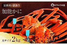 石川県産 加能かに ズワイガニ ( 産地証明タグ付 ) 訳あり 足折れ 大サイズ 2～3匹 合計2.0kg 12月16日～12月26日発送 産地証明 訳あり 家庭用 自宅用 足折れ 先行予約 予約 ブランド蟹 ボイル 茹で 蟹 復興 震災 コロナ 能登半島地震復興支援 北陸新幹線 F6P-2785 クラウドファンディング 実施中 GCF
