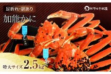 石川県産 加能かに ズワイガニ ( 産地証明タグ付 ) 訳あり 足折れ 特大サイズ 2～3匹 合計2.5kg 1月20日～ 3月31日発送 産地証明 訳あり 家庭用 自宅用 足折れ 先行予約 予約 ブランド蟹 ボイル 茹で 蟹 復興 震災 コロナ 能登半島地震復興支援 北陸新幹線 F6P-2789 クラウドファンディング 実施中 GCF