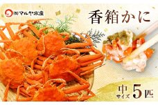 石川県産 香箱蟹 せいこ 中サイズ 5匹 詰合せ 11月10日～12月15日発送 F6P-2770