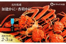 石川県産 加能かに/ズワイガニ ( 産地証明タグ付 ) 大サイズ 1匹 + 香箱かに 3匹 詰合せ ( 2～3人前 ) 12月16日～12月26日発送 食べ比べセット ズワイガニ ずわいがに 先行予約 予約 ブランド蟹 ボイル 茹で 蟹 かに 復興 震災 コロナ 能登半島地震復興支援 北陸新幹線 F6P-2763 クラウドファンディング 実施中 GCF
