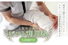 大聖寺治療院 3,000円分ギフト利用券 マッサージ 鍼灸 治療 整体 疲労回復 プレゼント 癒し F6P-2796