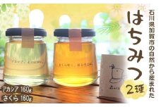 石川県産はちみつ あかしあ160g×さくら160g ハチミツ 蜂蜜 加工品 調味料 食品 F6P-2818