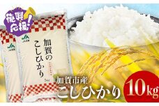【通常発送】復興応援米 令和7年産こしひかり 10kg(5kg×2袋) F6P-2925