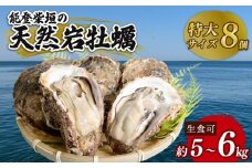  能登 柴垣産 天然 岩牡蠣 特大 8個 生食用 産地直送 柴垣の天然岩ガキ 新鮮 冷蔵 鮮度抜群 殻付き 大粒 濃厚 クリーミー ブランド 牡蠣 カキ 海鮮 プリプリ 肉厚 旨味 凝縮 魚介類 魚貝類 おすすめ 人気 夕食 ごはん 能登半島 石川県産 生牡蠣 岩がき