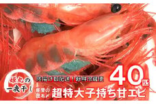 真空 獲れたて 子持ち 特大 甘エビ 殻付き 丸ごと 昆布〆 冷蔵 40匹 生食 刺身 天ぷら 素揚げ 揚げ焼き 味噌汁 にも 日本海 新鮮 厳選 大きい あまえび 有頭 エビ こだわり 昆布締め 昆布 包み 繊細な 旨味 甘い 鮮度抜群 濃厚 ミソ 海の幸 海鮮 魚介類 卵 抱卵 北陸 石川 能登 羽咋 姫丸 [D023]