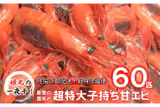超 特大 甘エビ 子持ち 冷蔵 60匹 昆布〆 穫れたて 生食 刺身 天ぷら 味噌汁 にも 新鮮 厳選 大きい あまえび 有頭 エビ 海老 こだわり 昆布締め 昆布 包み 旨味 甘い 鮮度抜群 濃厚 ミソ 海の幸 海鮮 魚介類 卵 北陸 生甘エビ 卵 たまご 魚卵 石川 能登 海の幸 海鮮 甲殻