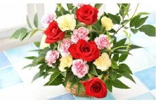 フラワーアレンジメント 生花 切り花 アレンジメント 花束 ブーケ フラワーギフト お祝い 誕生日 記念日 プレゼント 贈り物 結婚祝い 出産祝い 開店祝い バースデー ウェディング お見舞い 母の日 父の日 敬老の日 クリスマス バレンタイン ホワイトデー