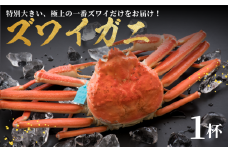 【 先行予約 】【 数量限定 】【 11〜12月 発送 】 冷蔵 配送 ズワイガニ 1杯 ( 活 1.3kg 以上 ➞ 茹上げ 約 1.0kg ) 味覚の王様 加能ガニ 一番 ズワイガニ 1匹 かに 蟹 カニ 1kg 姫丸 こだわり 日本海 ボイル かにみそ つめ 極上 年末 年内お届け お歳暮 年末年始 正月 ずわいがに まるごと 茹で 冬 ギフト 贈答用 送料無料 能登 石川県 羽咋
