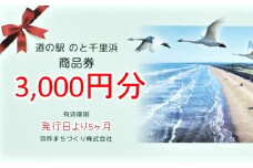 道の駅のと千里浜オリジナル商品券 3000円 クーポン券 金券 ギフト券 プレゼント 贈答品 贈り物 地域振興券 地域商品券 商品交換券 道の駅利用券 観光地 千里浜なぎさドライブウェイ 千里浜海岸 石川県 羽咋 能登 災害復興 復興支援