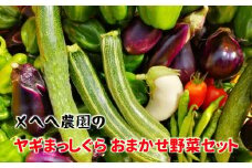 季節 の 野菜 8 ～ 10 品目 詰め合わせ おまかせ 数量限定 新鮮 農薬不使用 セット みずみずしい こだわり 旬 自然 自然派 やさい お野菜 おやさい 季節の野菜 旬野菜 旬の野菜 詰合せ つめあわせ おいしい 美味しい 石川 石川県 能登 のと 羽咋 はくい メへへ農園 