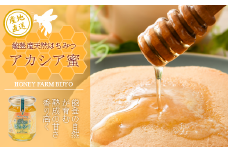  純度 100％ 天然 アカシア 蜂蜜 175g 非加熱 無加糖 無調整 糖度 80度 以上 瓶 能登産 純粋 はちみつ ハニー アカシア蜜 熟成 手作業 こだわり 国産 北陸 石川 能登 羽咋 山 の 恵み ホットケーキ パンケーキ にも合う 整腸 腸活 健康 生はちみつ 天然