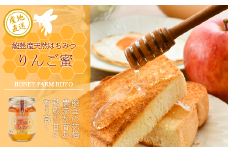  蜂蜜 りんご 175g 天然 純度 100％ 非加熱 無加糖 無調整 糖度 80度 以上 瓶 能登産 純粋 はちみつ ハニー りんご蜜 林檎 農家 熟成 手作業 こだわり 国産 北陸 石川 能登 羽咋 山 の 恵み 自然 天然はちみつ 純粋蜂蜜 アップルハニー りんごはちみつ 石川