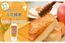  蜂蜜 200g 天然 純度 100％ 百花 非加熱 無加糖 無調整 糖度 80度 以上 ボトル 能登産 純粋 はちみつ ハニー 百花蜜 熟成 手作業 こだわり 国産 北陸 石川 能登 羽咋 山 の 恵み 9000円 一万円以下 1万円以下 天然はちみつ 純粋はちみつ 国産はちみつ 石川