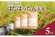 先行予約 新米 はたはったん 玄米 5kg 自然栽培米 令和7年産 選べる 容量 数量限定 銘柄米 あっさり 甘み おすすめ 先行 予約 米 こめ おこめ ライス 5kg 自然栽培 石川県産 羽咋産 能登産 石川 羽咋 能登 のと メへヘ農園