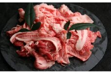 訳あり 能登牛 切り落とし 2kg とろける 食感 希少 ブランド和牛 簡易包装 冷凍 石川 羽咋 能登 国産 能登半島 災害支援 復興支援 災害復興