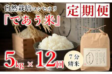 先行予約 米 定期便 5kg 12回 令和7年産 新米 こしひかり 自然栽培 七分精米 栄養 豊富 数量限定 お米 こめ おこめ ご飯 ごはん R7 2025年産 こだわり おいしい 美味しい であう米 石川県 能登 羽咋