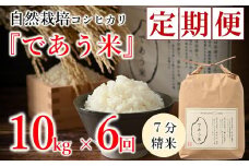 先行予約 米 定期便 10kg 6回 令和7年産 新米 こしひかり 自然栽培 七分精米 栄養 豊富 数量限定 お米 こめ おこめ ご飯 ごはん R7 2025年産 こだわり おいしい 美味しい であう米 石川県 能登 羽咋