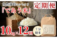 先行予約 米 定期便 10kg 12回 令和7年産 新米 こしひかり 自然栽培 七分精米 栄養 豊富 数量限定 お米 こめ おこめ ご飯 ごはん R7 2025年産 こだわり おいしい 美味しい であう米 石川県 能登 羽咋