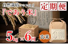 先行予約 米 定期便 5kg 6回 令和7年産 新米 こしひかり 自然栽培 玄米 栄養 豊富 数量限定 お米 こめ おこめ ご飯 ごはん R7 2025年産 こだわり おいしい 美味しい であう米 石川県 能登 羽咋