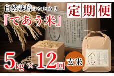 先行予約 米 定期便 5kg 12回 令和7年産 新米 こしひかり 自然栽培 玄米 栄養 豊富 数量限定 お米 こめ おこめ ご飯 ごはん R7 2025年産 こだわり おいしい 美味しい であう米 石川県 能登 羽咋