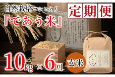 先行予約 米 定期便 10kg 6回 令和7年産 新米 こしひかり 自然栽培 玄米 栄養 豊富 数量限定 お米 こめ おこめ ご飯 ごはん R7 2025年産 こだわり おいしい 美味しい であう米 石川県 能登 羽咋