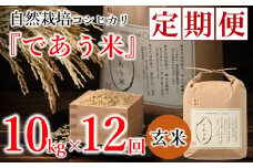先行予約 米 定期便 10kg 12回 令和7年産 新米 こしひかり 自然栽培 玄米 栄養 豊富 数量限定 お米 こめ おこめ ご飯 ごはん R7 2025年産 こだわり おいしい 美味しい であう米 石川県 能登 羽咋