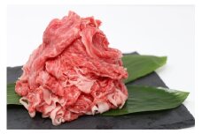 すき焼き しゃぶしゃぶ 用 牛肉 200g プレミアム ランク 黒毛和牛 能登牛 選べる 容量 小分け とろける 食感 普段使い 希少 黒毛和牛 ブランド和牛 和牛 おすすめ 国産 うし にく 牛 肉 黒毛和牛 焼肉 カレー 肉じゃが にも 切落とし きりおとし 便利 冷凍 てらおかの能登牛 てらおか風舎 石川 羽咋 能登 能登半島災害支援 復興支援