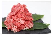 すき焼き しゃぶしゃぶ 用 牛肉 800g プレミアム ランク 黒毛和牛 能登牛 選べる 容量 小分け とろける 食感 普段使い 希少 黒毛和牛 ブランド和牛 和牛 おすすめ 国産 うし にく 牛 肉 黒毛和牛 焼肉 カレー 肉じゃが にも 切落とし きりおとし 便利 冷凍 てらおかの能登牛 てらおか風舎 石川 羽咋 能登 能登半島災害支援 復興支援