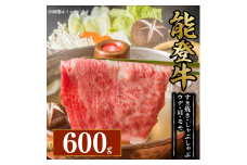 黒毛和牛 すき焼き しゃぶしゃぶ ウデ 肩 モモ 600g 幻の和牛 能登牛 冷蔵 とろける 食感 希少 ブランド和牛 ブランド牛 こだわり 牛 うし にく 牛肉 ブランド 和牛 のと牛 国産 藤井肉店 石川 能登 羽咋 能登半島 災害 支援 復興支援 災害支援 災害復興 応援