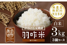 先行予約 定期便 新米 数量限定 令和7年産 新米 3kg × 3回 計 9kg 白米 コシヒカリ 羽咋米 自然栽培米 精米 農薬不使用 羽咋 米 能登 こしひかり こだわり 石川県産 環境 白米 こめ コメ お米 2025年産 おこめ 精米 R7 ご飯 ごはん 送料無料 数量 限定 ギフト 新米 予約 ふるさと納税 能登 石川 羽咋 はくい