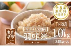 先行予約 定期便 新米 数量限定 令和7年産 新米 10kg × 3回 計 30kg 玄米 コシヒカリ 羽咋米 自然栽培米 玄米 農薬不使用 羽咋 米 能登 こしひかり こだわり 石川県産 環境 こめ コメ お米 2025年産 おこめ R7 ご飯 ごはん 送料無料 数量 限定 ギフト 新米 予約 ふるさと納税 能登 石川 羽咋 はくい