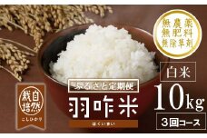 先行予約 定期便 新米 数量限定 令和7年産 新米 10kg × 3回 計 30kg 白米 コシヒカリ 羽咋米 自然栽培米 精米 農薬不使用 羽咋 米 能登 こしひかり こだわり 石川県産 環境 こめ コメ お米 2025年産 おこめ R7 ご飯 ごはん 送料無料 数量 限定 ギフト 新米 予約 ふるさと納税 能登 石川 羽咋 はくい