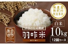 先行予約 定期便 新米 数量限定 令和7年産 新米 10kg × 12回 計 120kg 白米 コシヒカリ 羽咋米 自然栽培米 精米 農薬不使用 羽咋 米 能登 こしひかり こだわり 石川県産 こめ コメ お米 2025年産 おこめ R7 ご飯 ごはん 送料無料 数量 限定 ギフト 新米 予約 ふるさと納税 能登 石川 羽咋 はくい