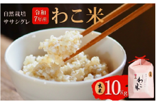 新米 予約 玄米 10kg ササシグレ 自然栽培 幻 お米 自然栽培米 令和7年産 数量限定 わこ米 米 コシヒカリ より あっさり 甘み 体 に やさしい 石川県 石川 羽咋 能登 予約 健康 復興支援 災害支援 先行予約